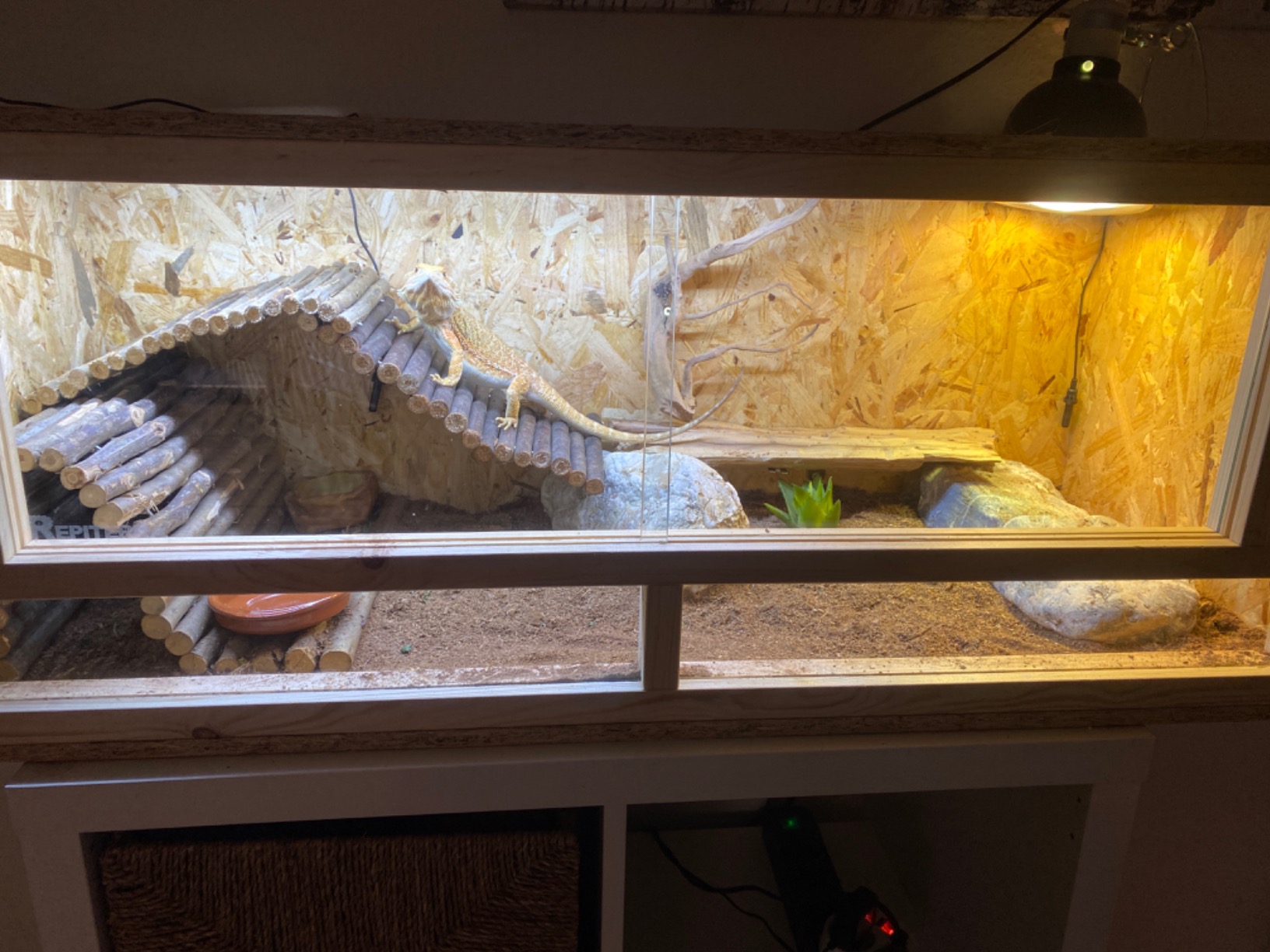 Repiterra Terrarium Holz 100x40x40 cm Seitenbelüftung OSB