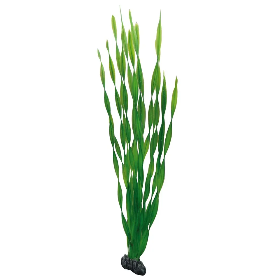 Hobby Vallisneria Kunstpflanze 60 cm täuschend echt