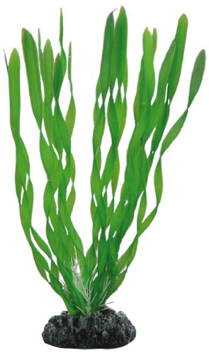 Hobby Vallisneria Kunstpflanze 60 cm täuschend echt