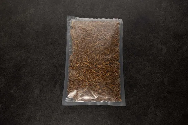 intipa Mehlwürmer gefroren Insekten 420 g ganz
