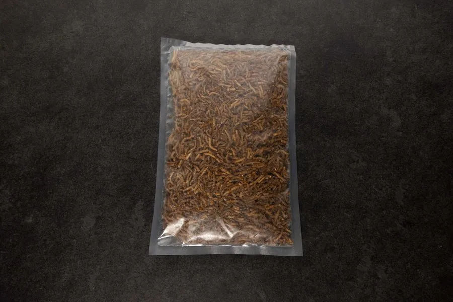intipa Mehlwürmer gefroren Insekten 420 g ganz