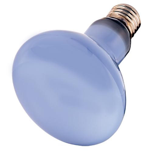 Hobby Neodym Daylight Eco Wärmelampe 42 W Naturlicht