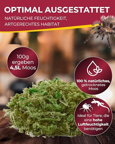 Hobby Natural Moss Terrarienmoos 100 g natürlich feuchtigkeitsbindend