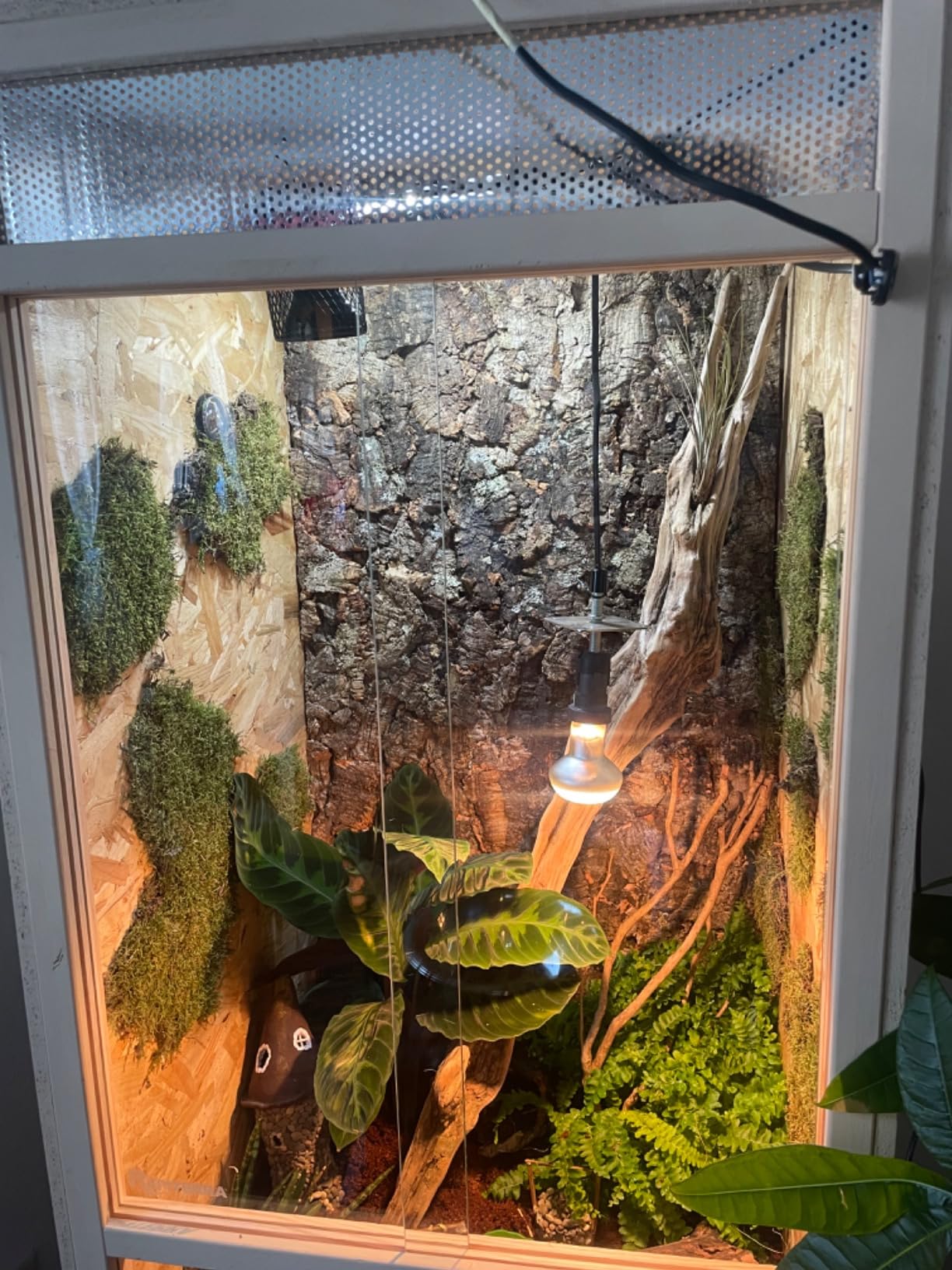 Repiterra Hoch-Terrarium 60x120x60 cm Frontbelüftung
