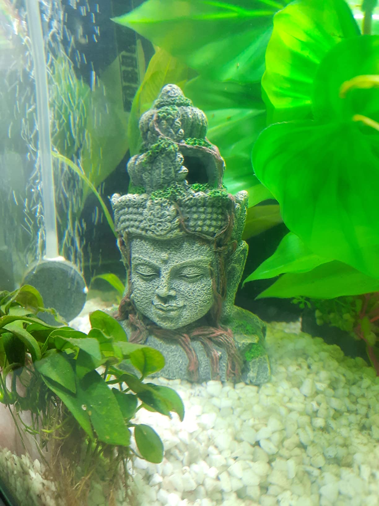 Hobby Vishnu Aquariumdeko 9x6,5x12,5 cm Polyresin