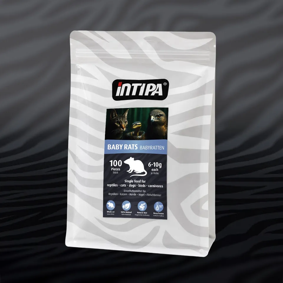 intipa Babyratten 6-10 g Futtertiere 100 Stück für Pythons