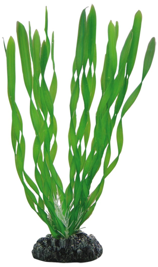 Hobby Vallisneria Kunstpflanze 60 cm täuschend echt