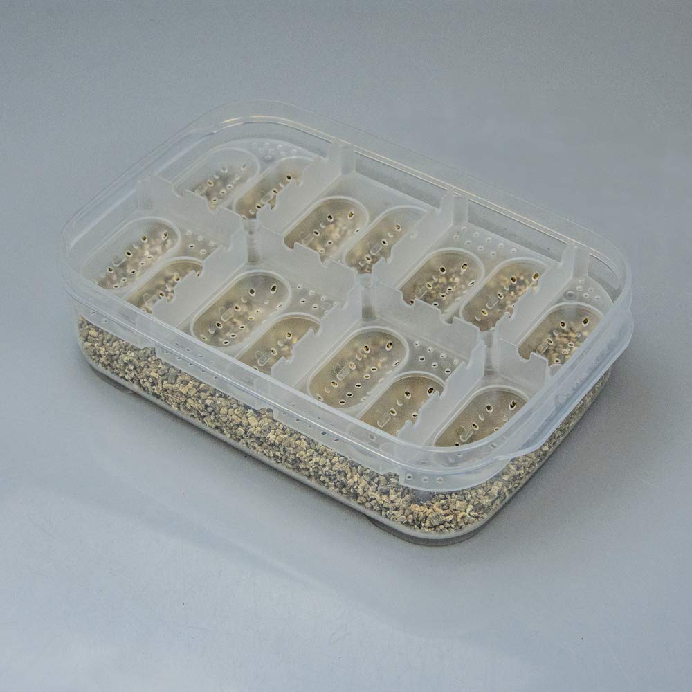 Hobby Easy Breeder Box Brutbox für 14 Eier