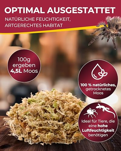Hobby Sphagnum Moss Terrarienmoos 100 g 4,5 l