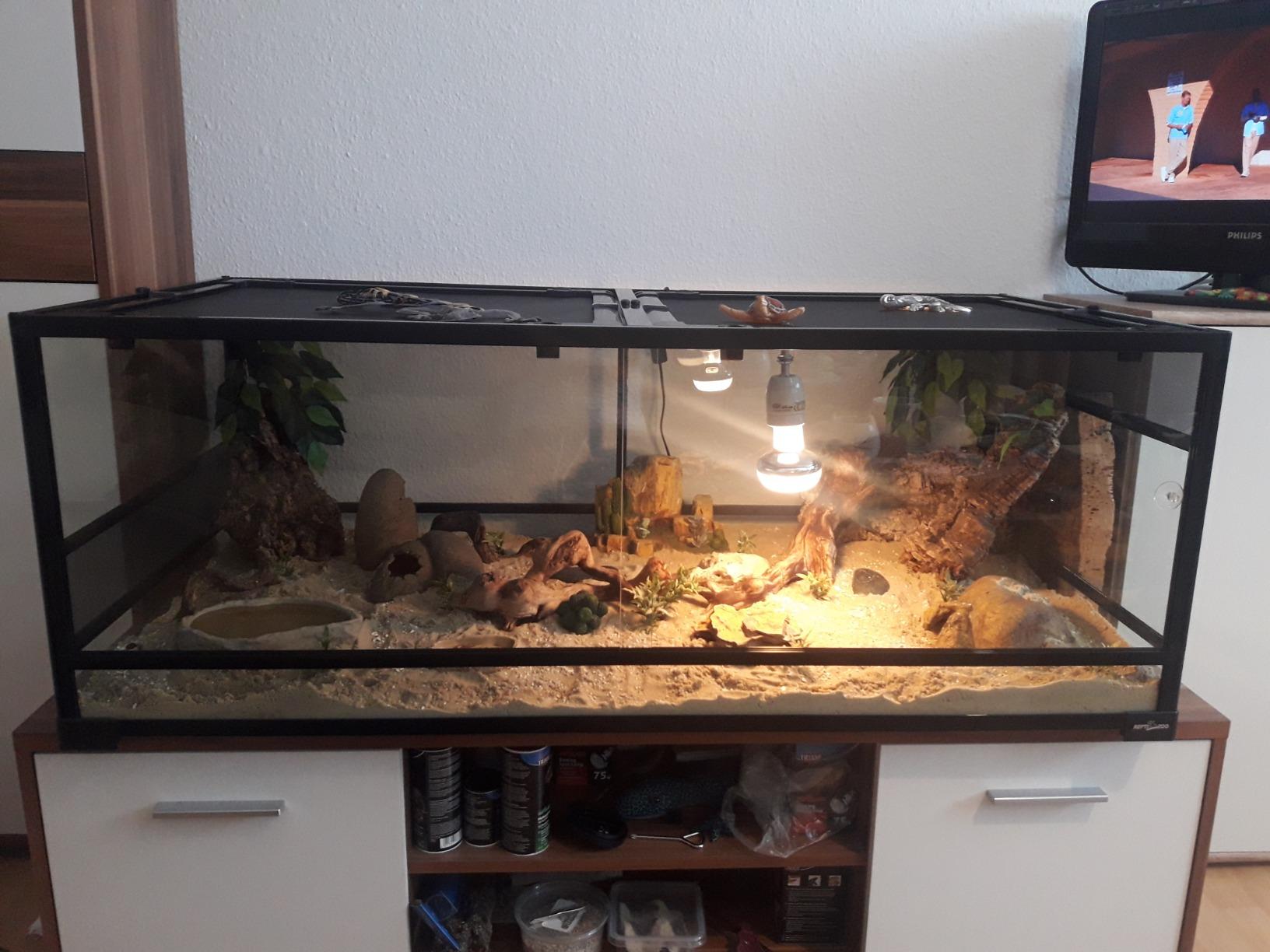 ReptiZoo RK0226 Glasterrarium 120x60x45 cm zerlegbar