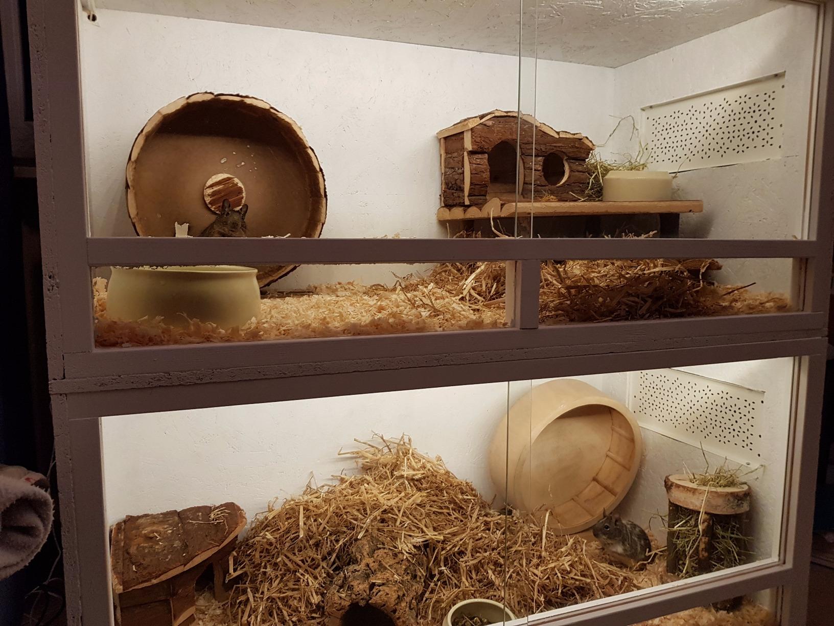 Repiterra Terrarium Holz 100x50x50 cm Seitenbelüftung OSB