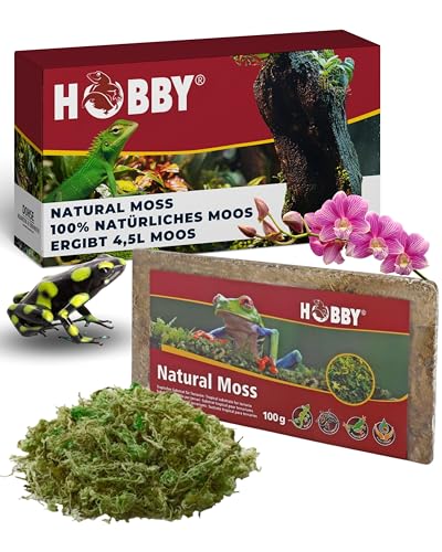 Hobby Natural Moss Terrarienmoos 100 g natürlich feuchtigkeitsbindend