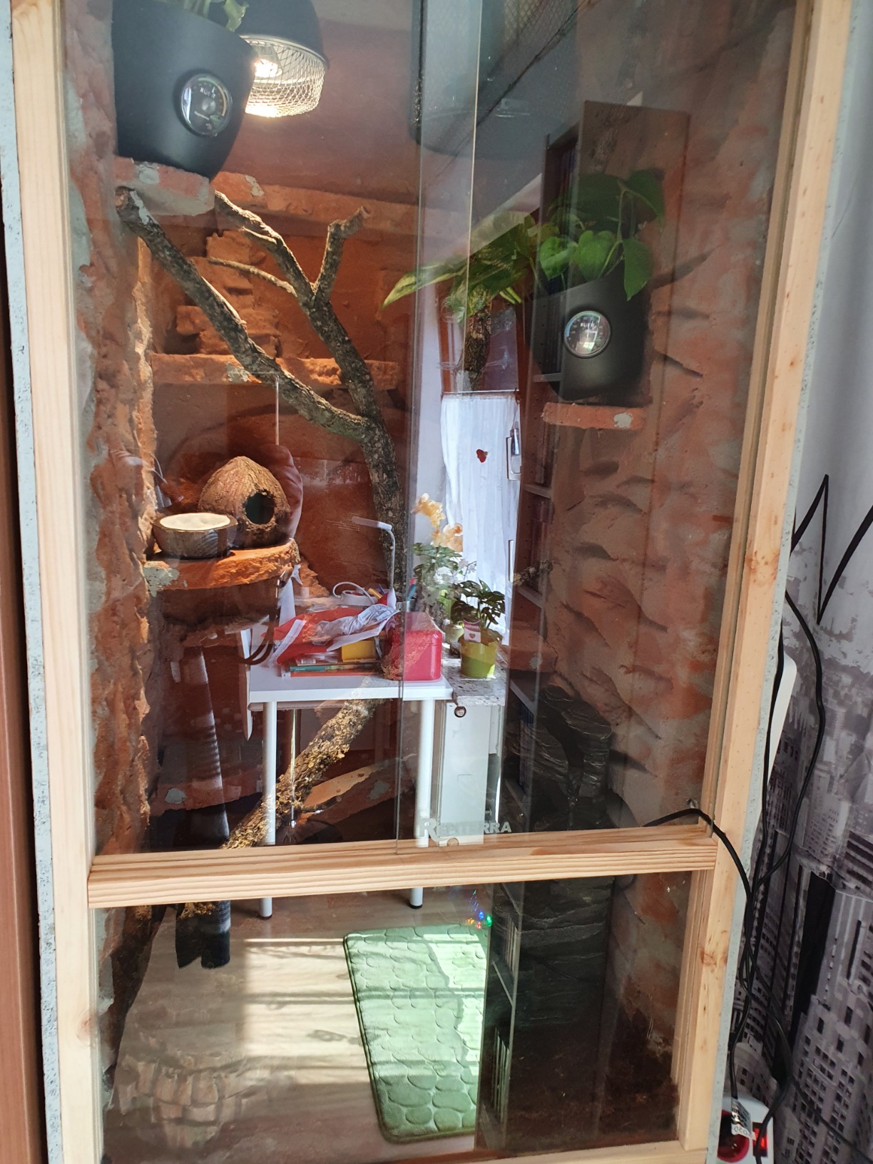 Repiterra Hoch-Terrarium 60x120x60 cm Frontbelüftung