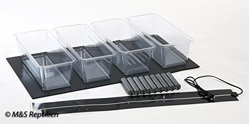 M&S Reptilien Rack System Junior Extra Lage mit Heizmatte