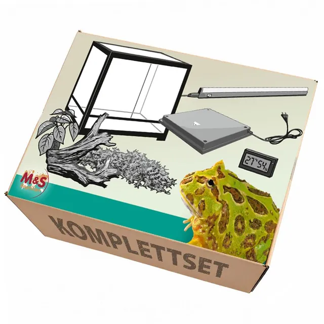 M&S Reptilien Frosch Komplettset 60x45x32cm mit Glasterrarium