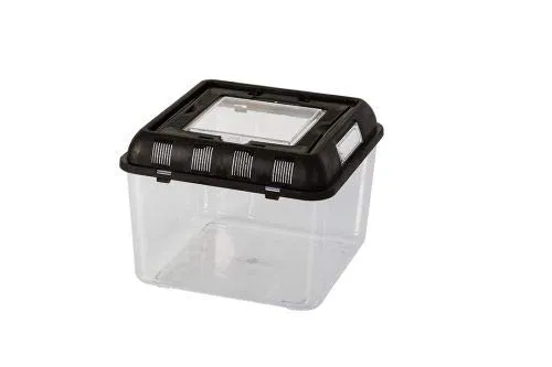 Repti Zoo RT2002B Flat Box Terrarium 26x26x20 klein