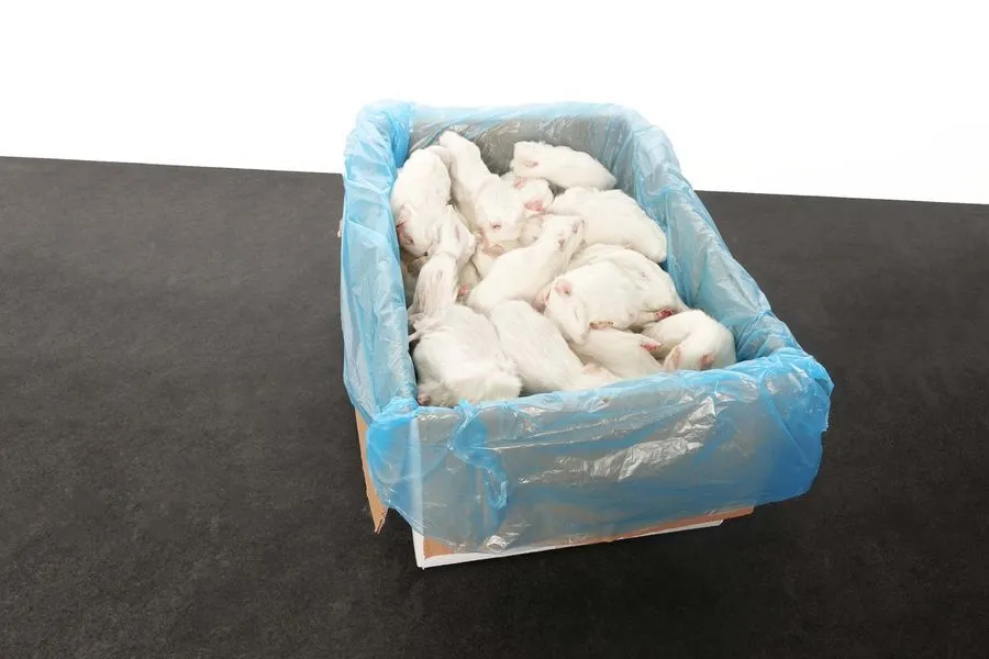 intipa Meerschweinchen S Frostfutter 150-300 g Karton