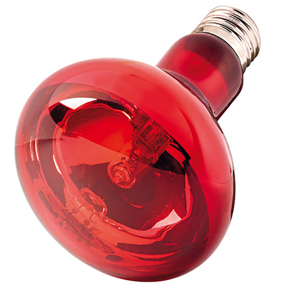 Hobby Infraredlight Eco Infrarotlampe 42W Wärme