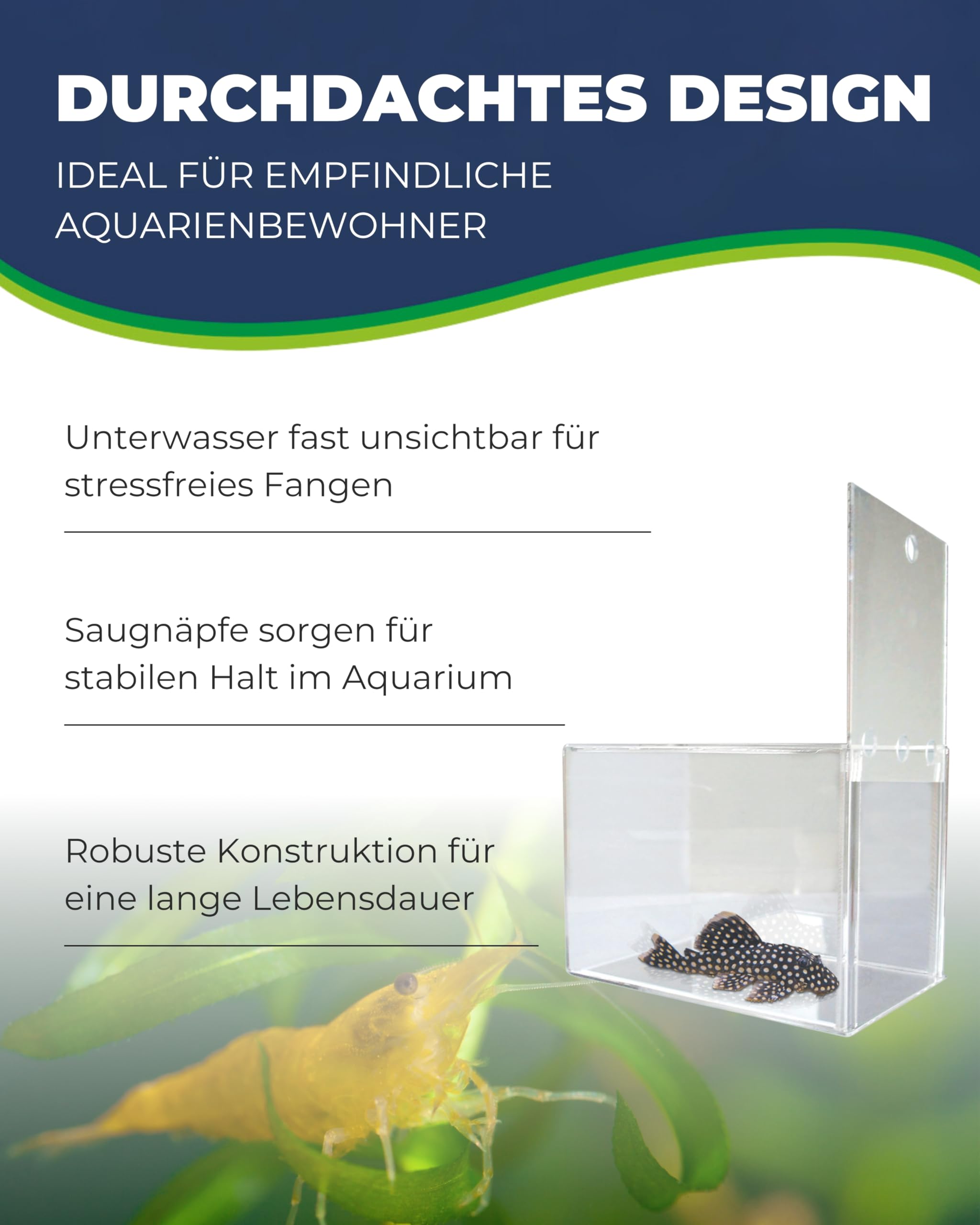 Hobby Genius Fischfalle Aquarium 21x13x15 cm transparent