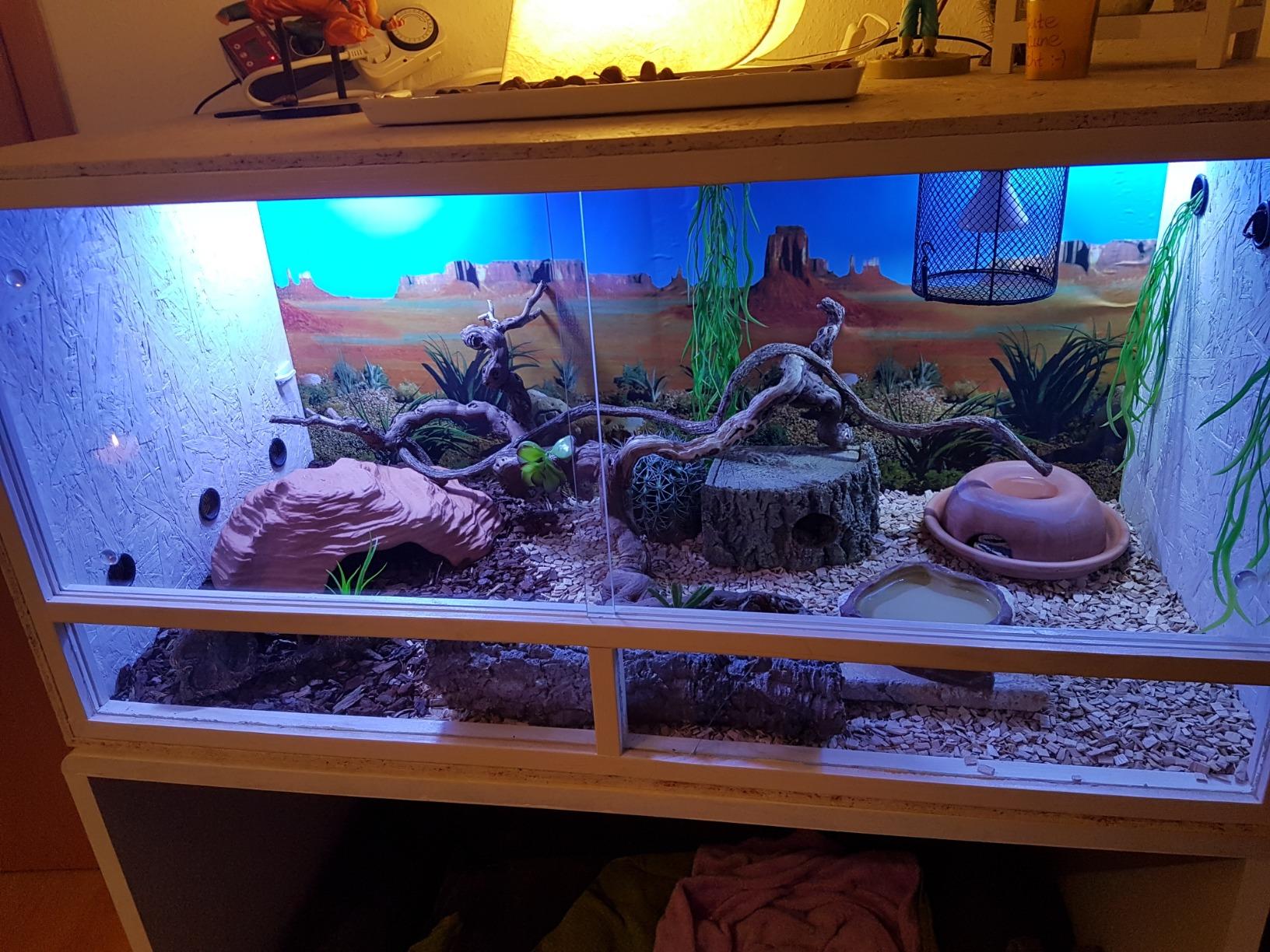 Repiterra Holzterrarium 120x60x60 cm OSB belüftet