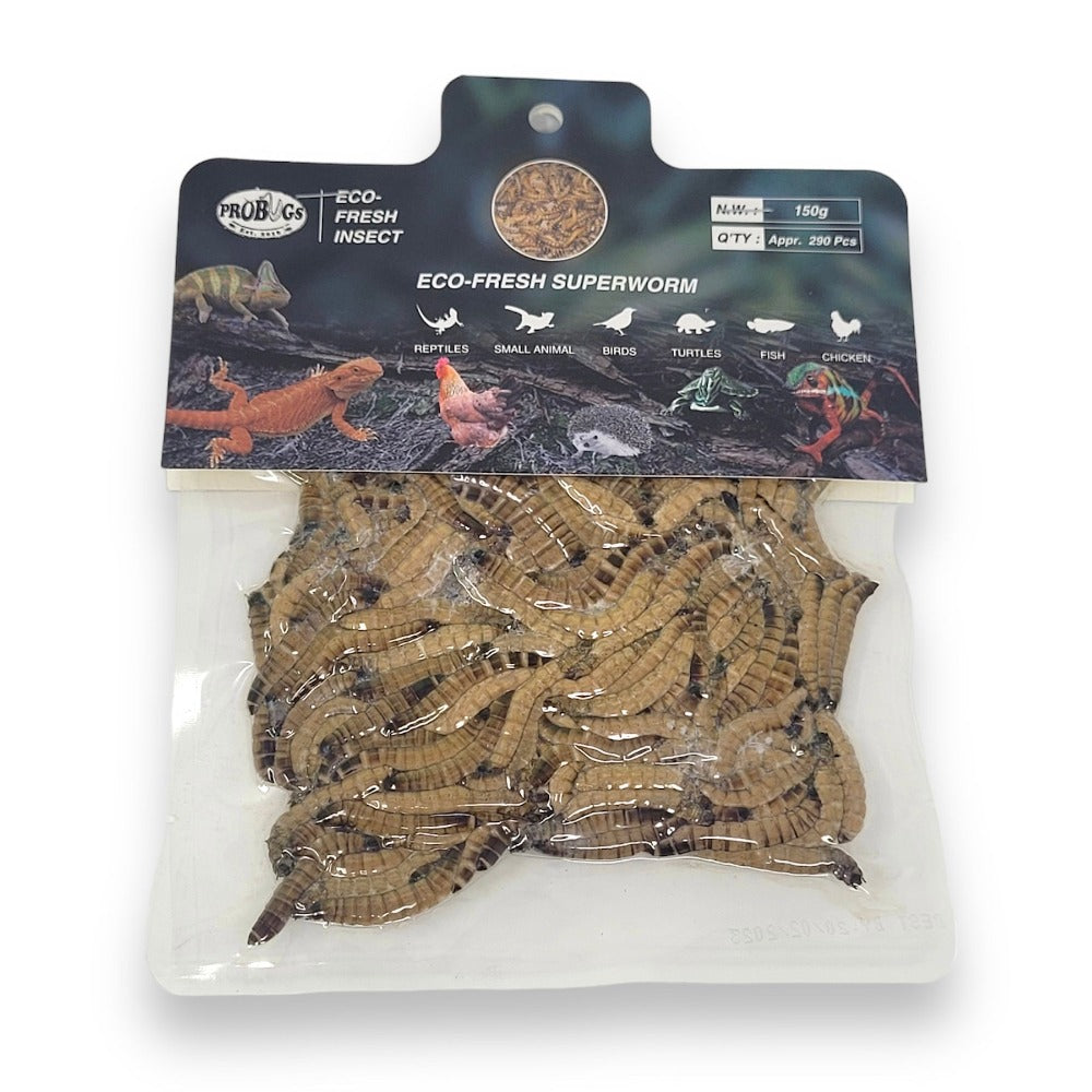 Repashy ProBugs Superworm Futterinsekten 20g proteinreich
