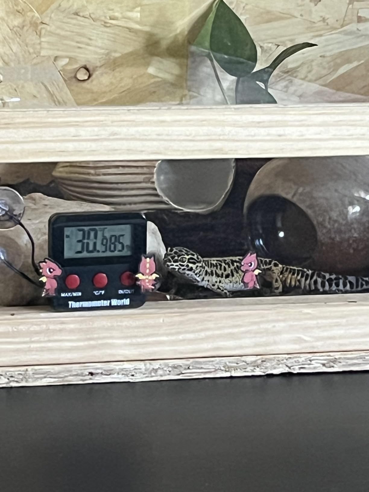 Repiterra Terrarium Holz 100x50x50 cm Seitenbelüftung OSB