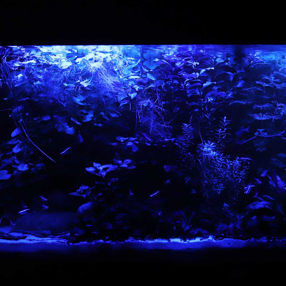 Econlux Solar Stinger SunStrip III 35 FRESH LED-Leiste 5-Kanal
