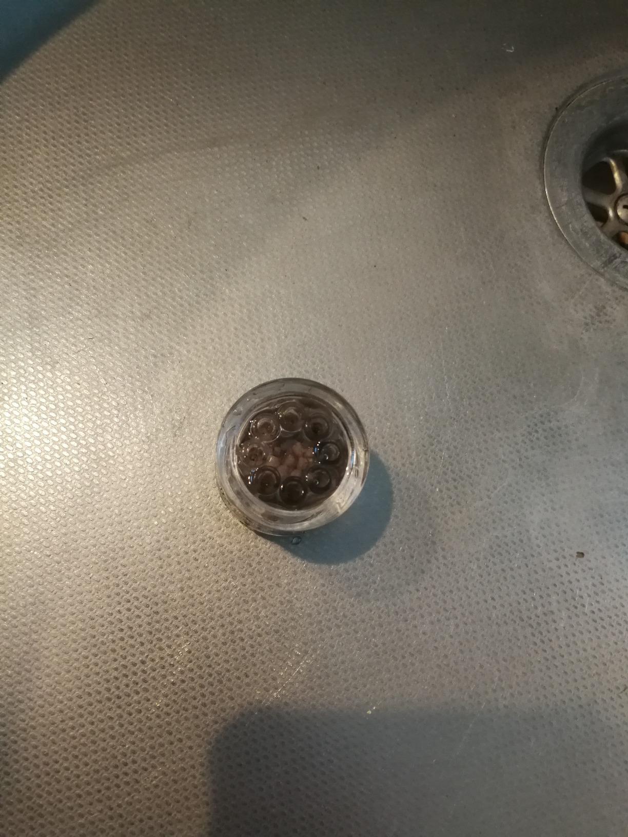 Hobby Planaria X Planarienfalle mit 2 Spezialköder chemiefrei