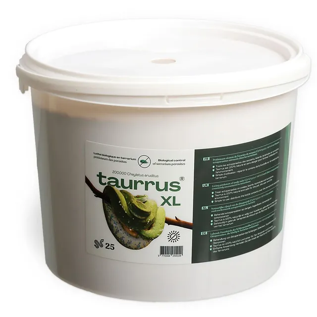 Taurrus XL Raubmilben Milbenbekämpfung 50 Tiere