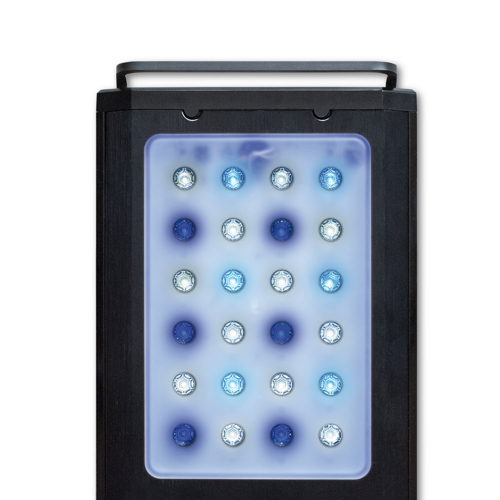 Econlux Solar Stinger StingerBox II Marine LED 3cm Bundle DRV