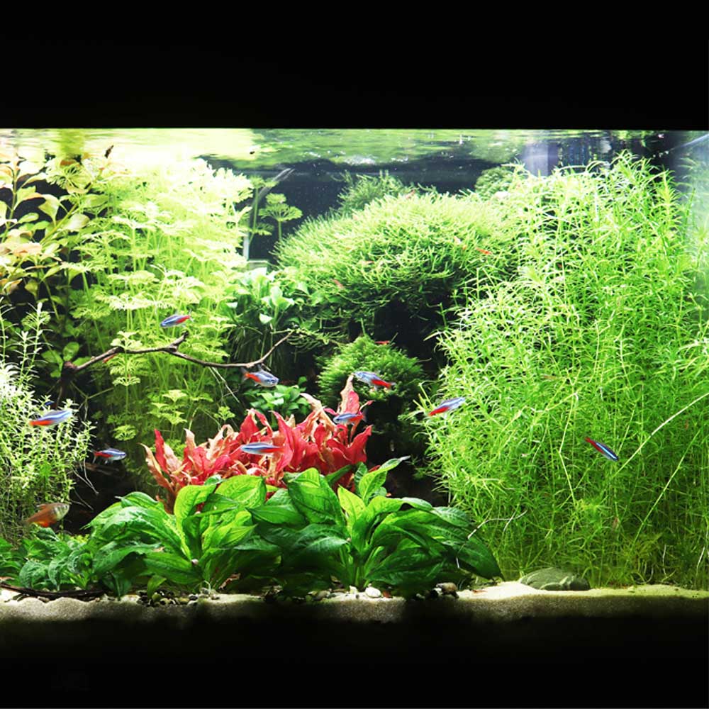 Econlux Solar Stinger SunStrip III 35 FRESH LED-Leiste 5-Kanal