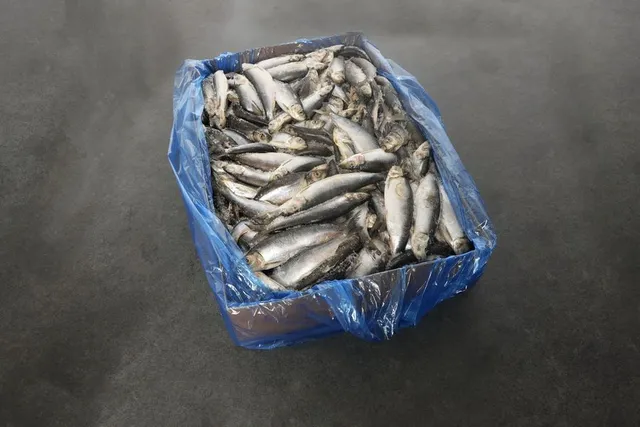Intipa Hering XS Frostfisch 1 kg 16-20 Stück
