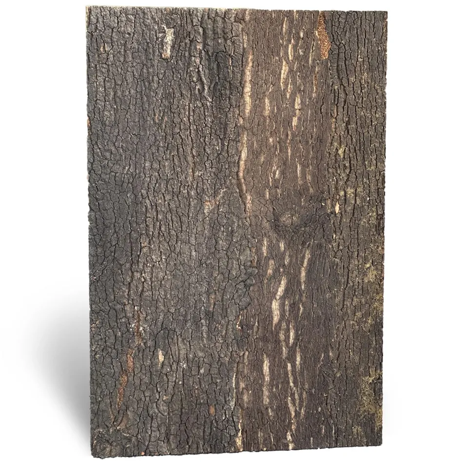 M&S Reptilien Zierkork Rückwand Fine 90x60x2cm DPCT062