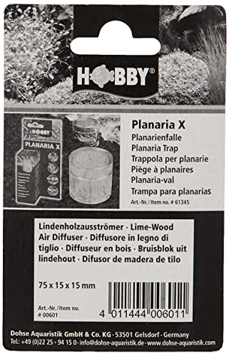 Hobby 00601 Lindenholzausströmer 75 mm 2 Stück feinperlig