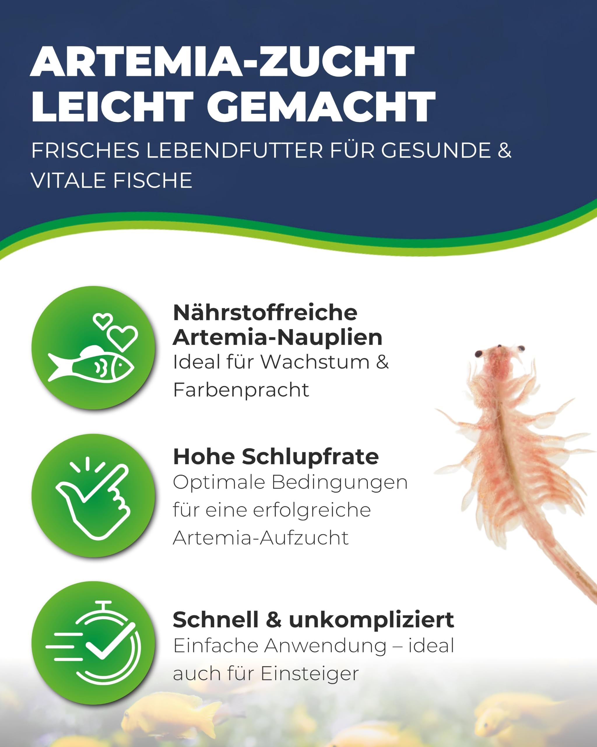 Hobby Artemia Incubator-Set Aufzuchtset Lebendfutter komplett