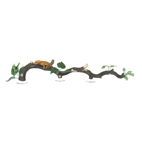 Repti Zoo DR08 Kletterliane 3-teilig 60 cm Saugnäpfe