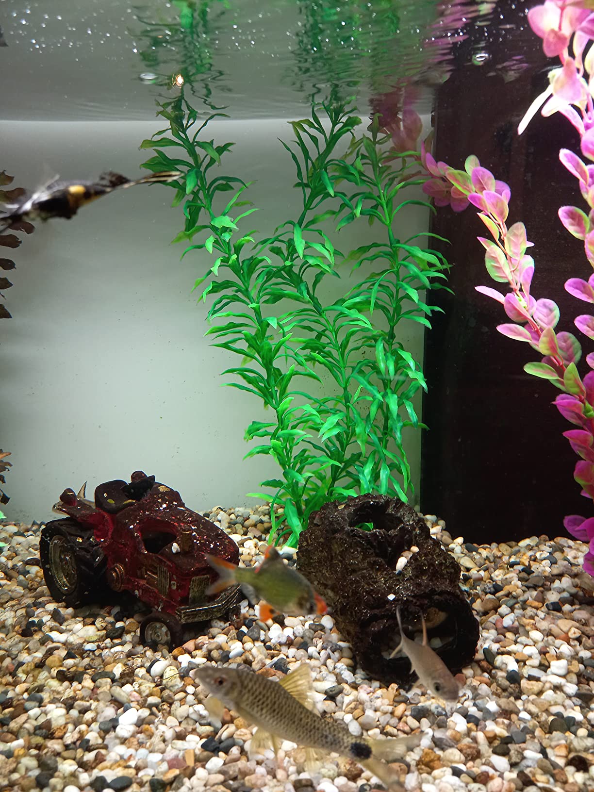 Hobby Heteranthera Kunstpflanze Aquarium 34 cm naturnah felsfixiert