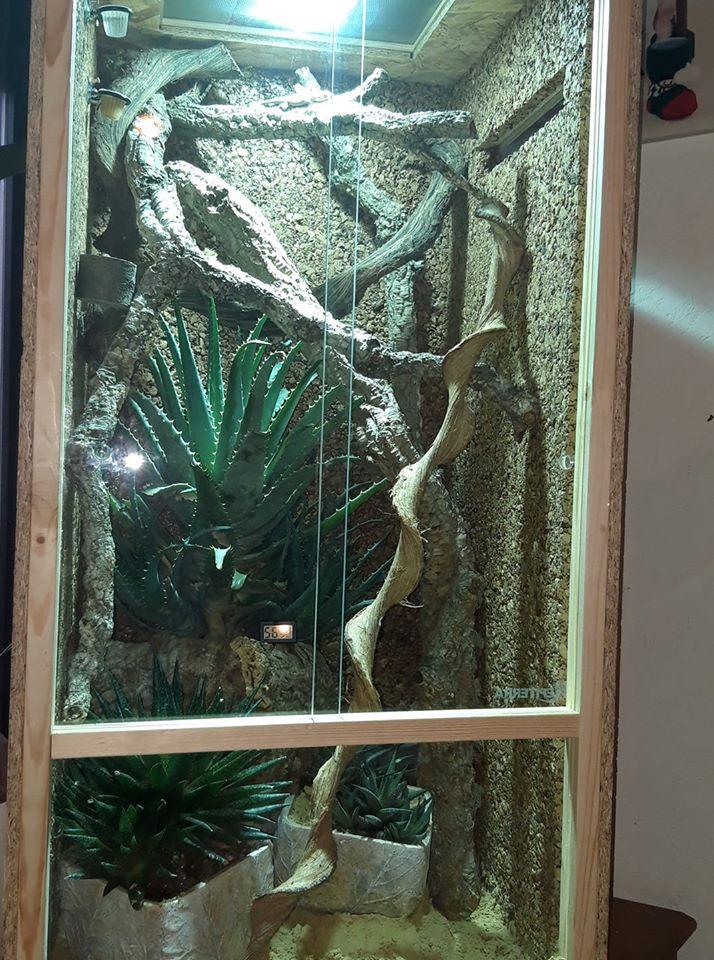 Repiterra Terrarium hoch 60x120x60 cm für Chamäleon