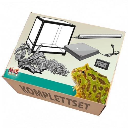 M&S Reptilien Frosch Komplettset 60x45x32cm mit Glasterrarium