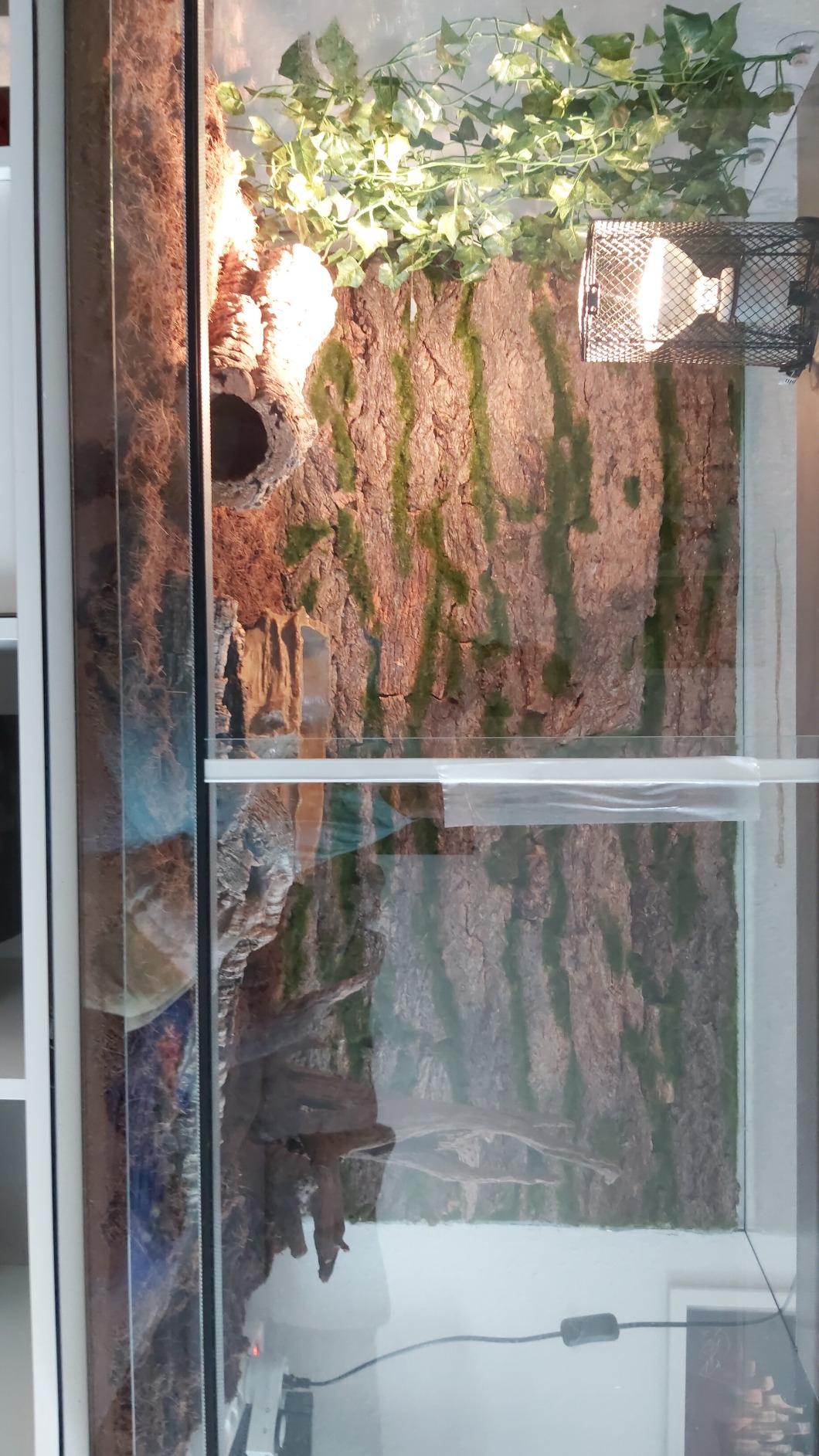 Repiterra Terrarium Rückwand Moos 116x58 cm 3D Hintergrund