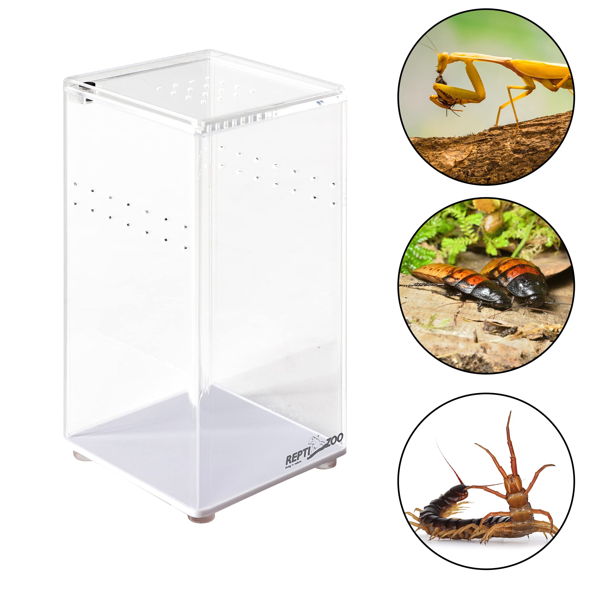 Repti Zoo Acryl-Terrarium 7,5x7,5x15 cm transparent