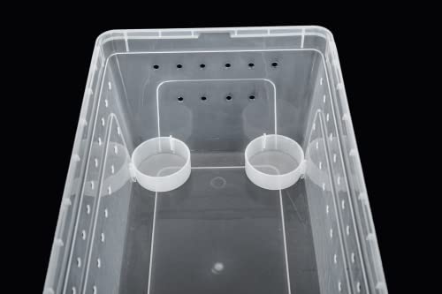ReptiZoo RT2016L Kunststoffterrarium Large Wasserschale