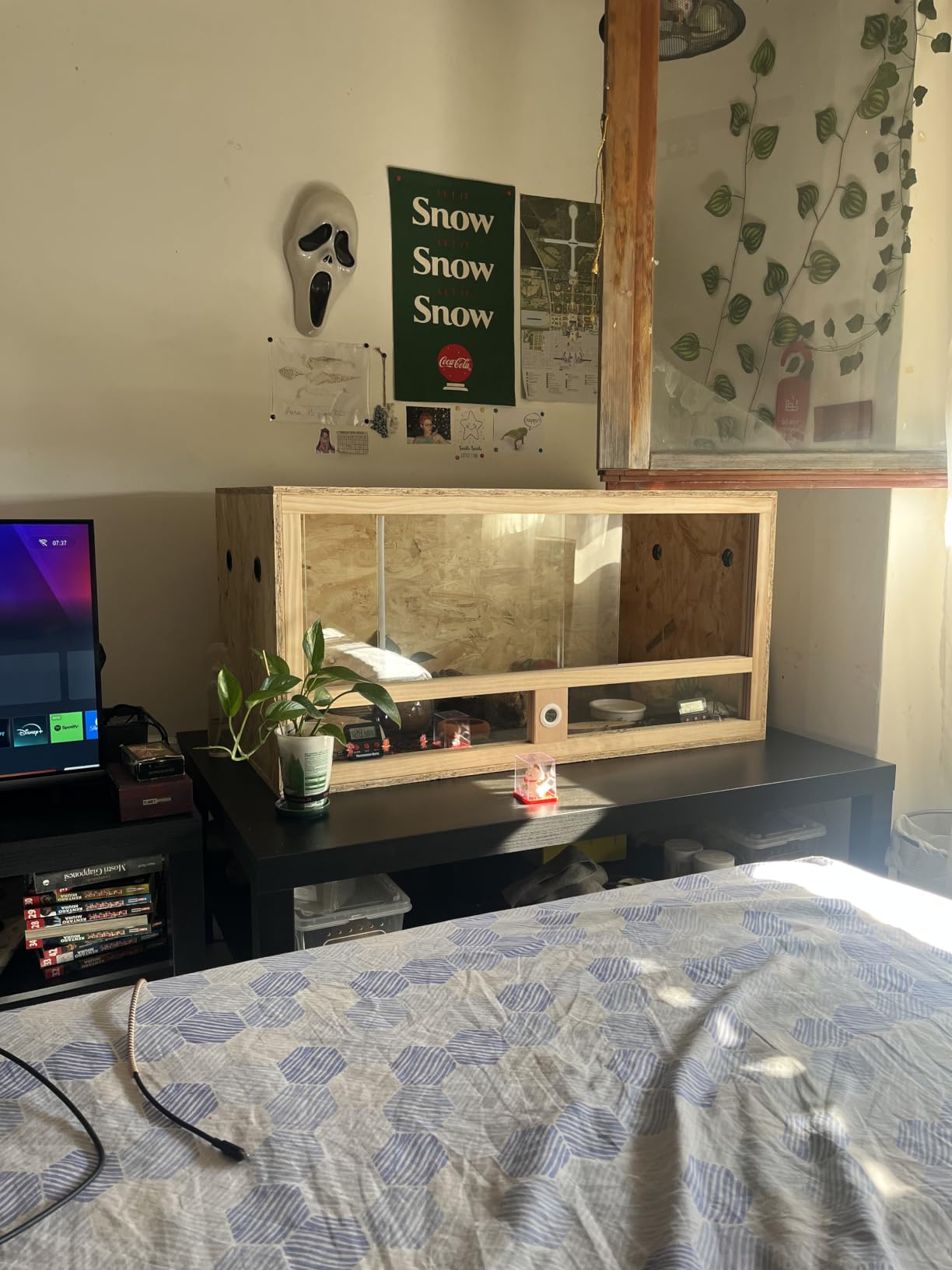 Repiterra Terrarium Holz 100x50x50 cm Seitenbelüftung OSB