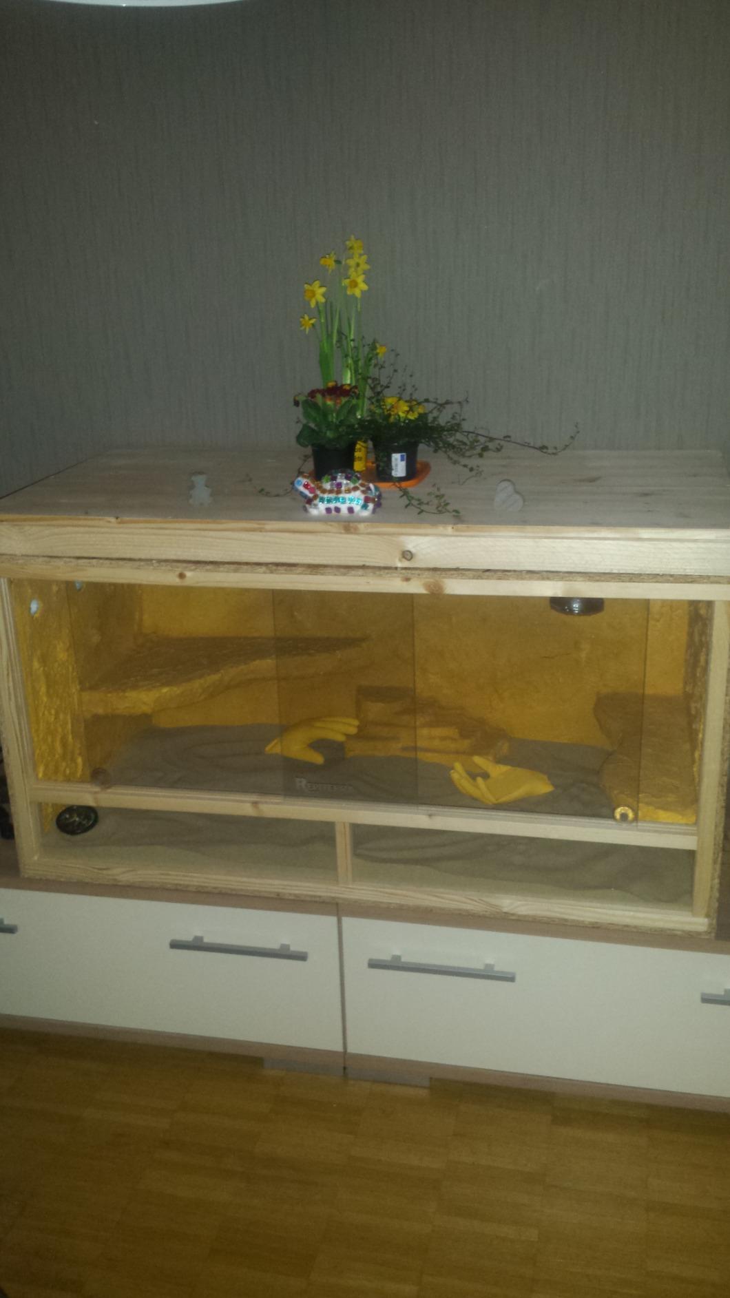Repiterra Holzterrarium 120x60x60 cm OSB belüftet