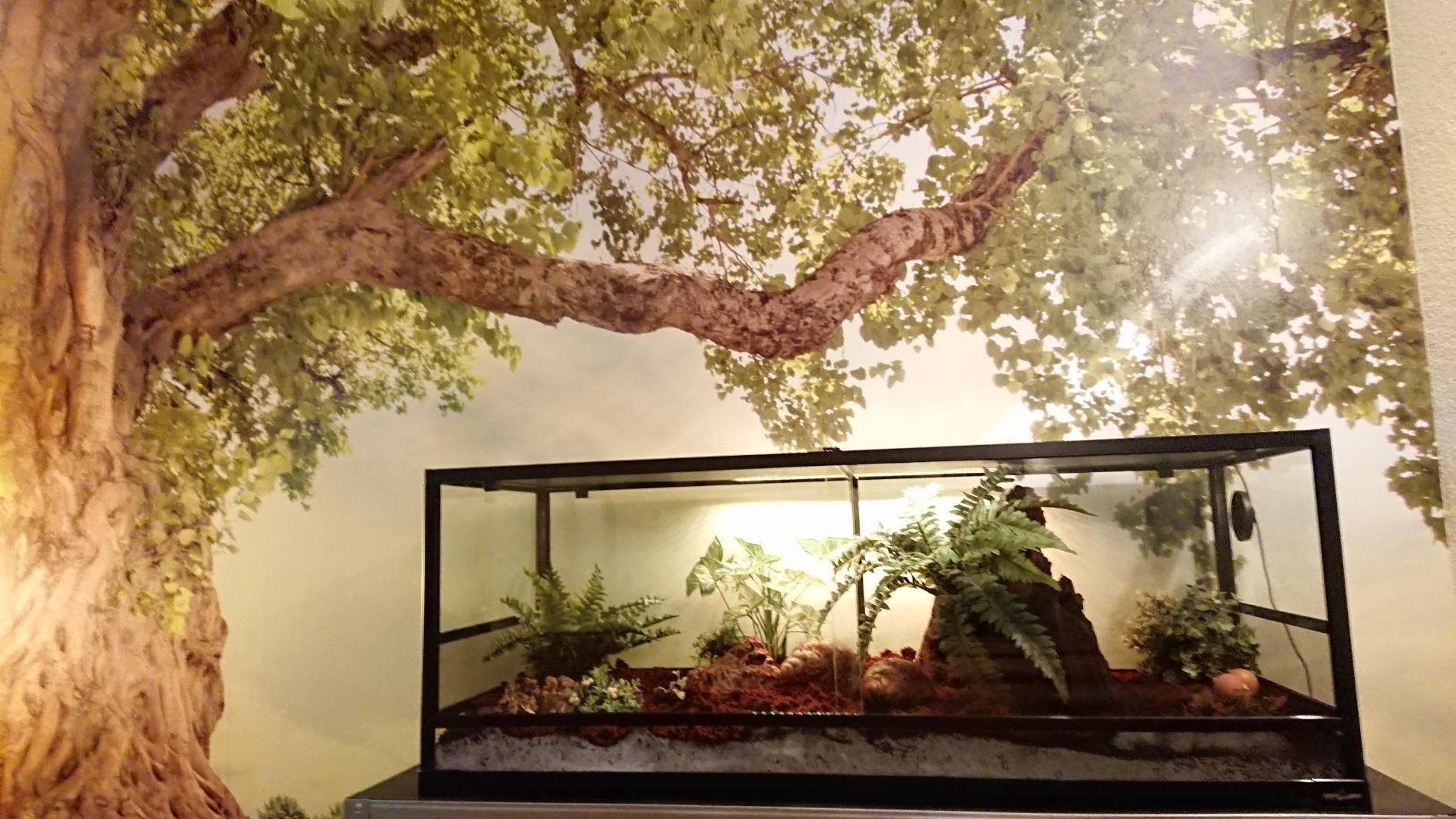 ReptiZoo RK0222 Glas-Terrarium 120x45x45 cm zerlegbar