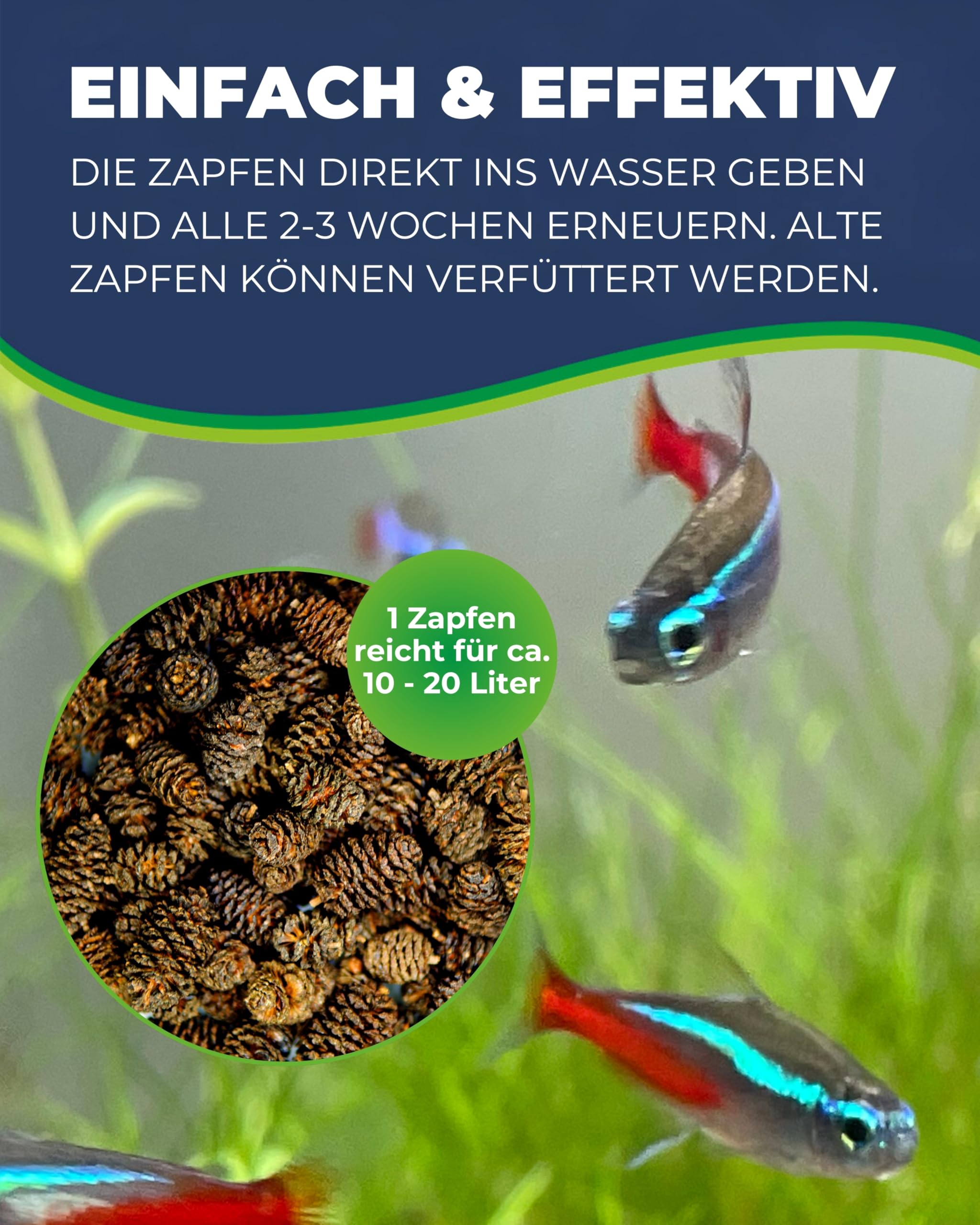 Hobby Alder Cones Erlenzapfen 50 Stück pH-senkend