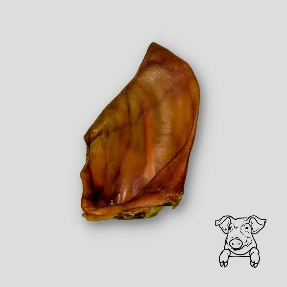 intipa Schweineohren Kauartikel 10 Stück getrocknet