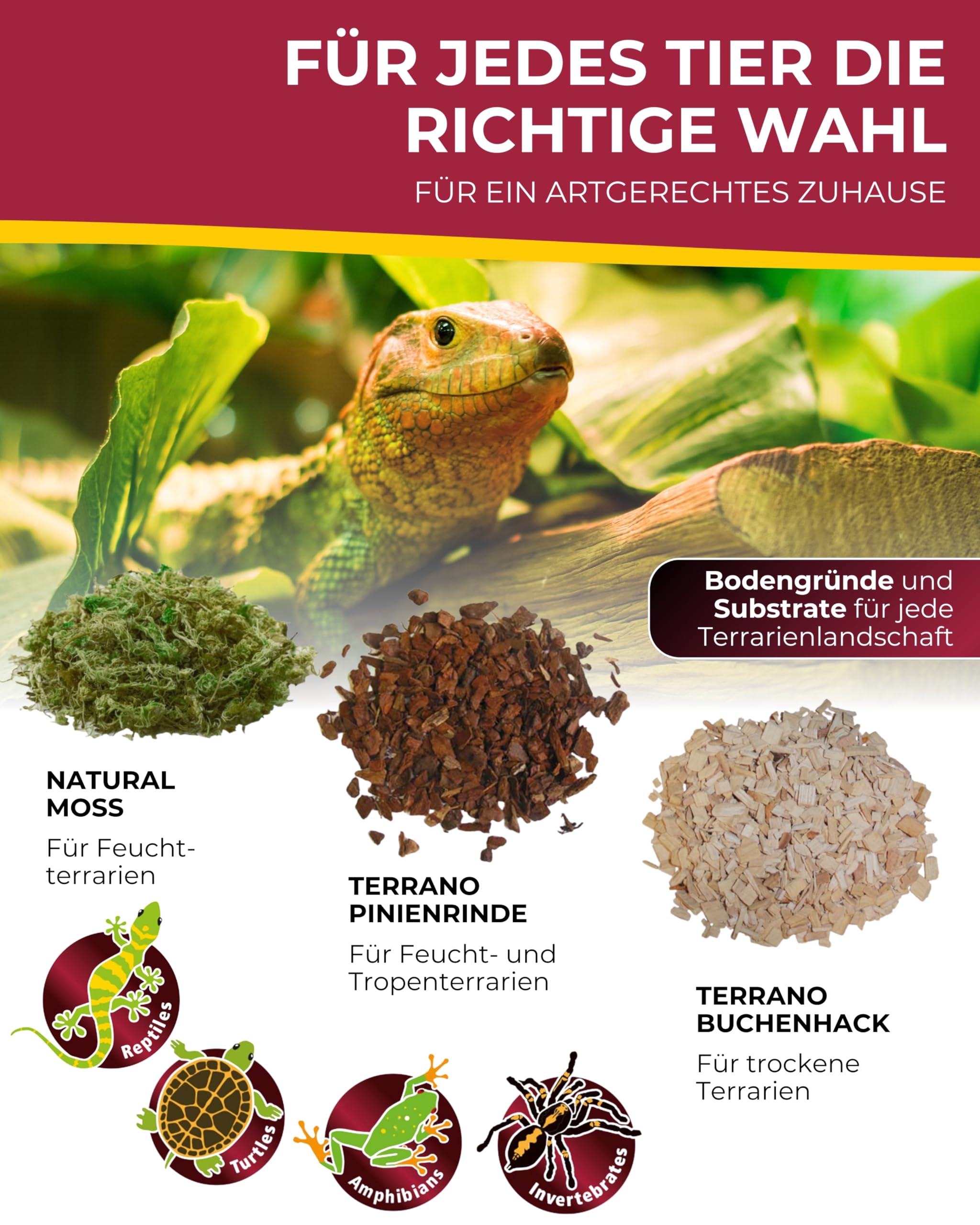 Hobby Natural Moss Terrarienmoos 100 g natürlich feuchtigkeitsbindend
