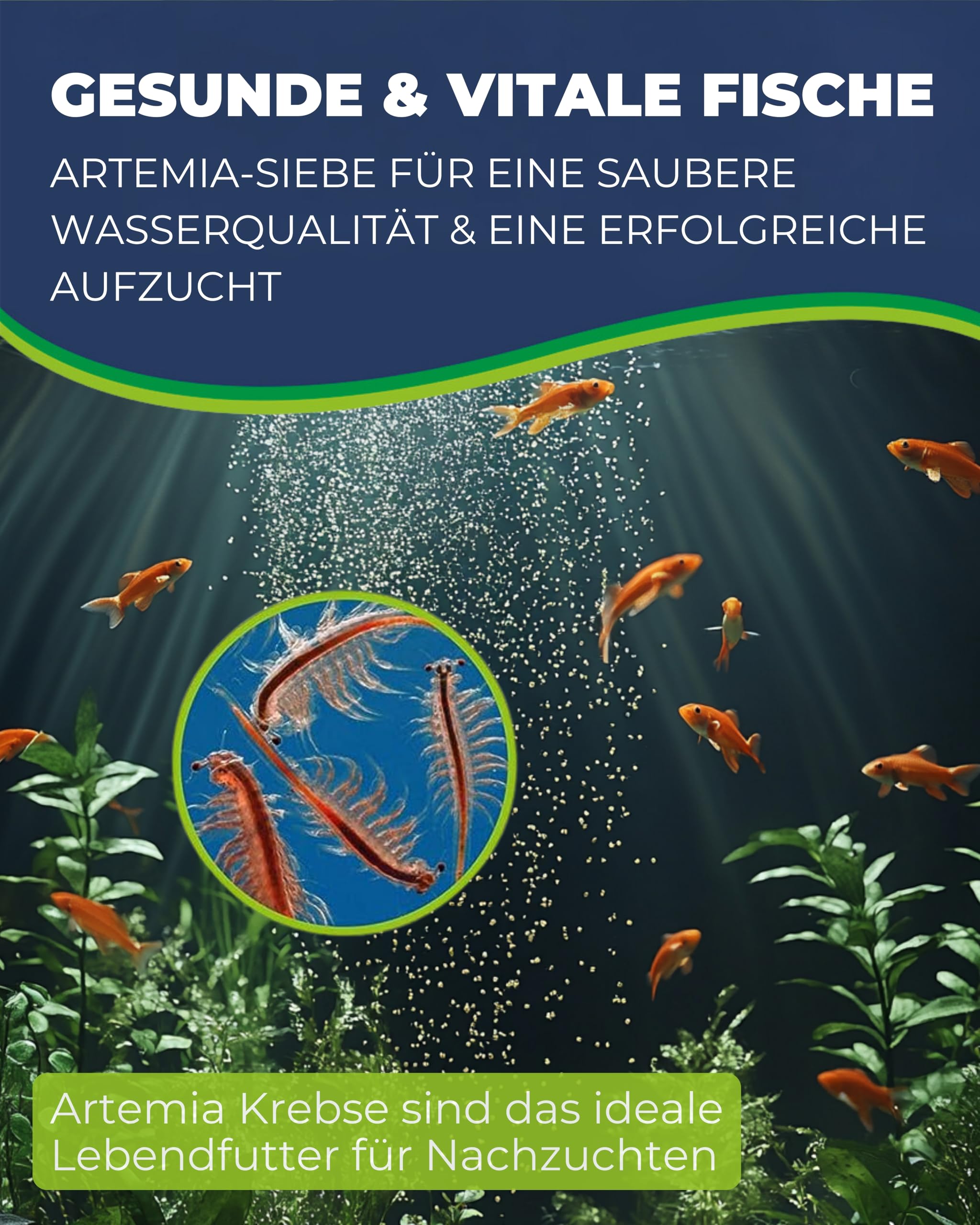Hobby Siebkombination Artemia Siebset 4-teilig fein