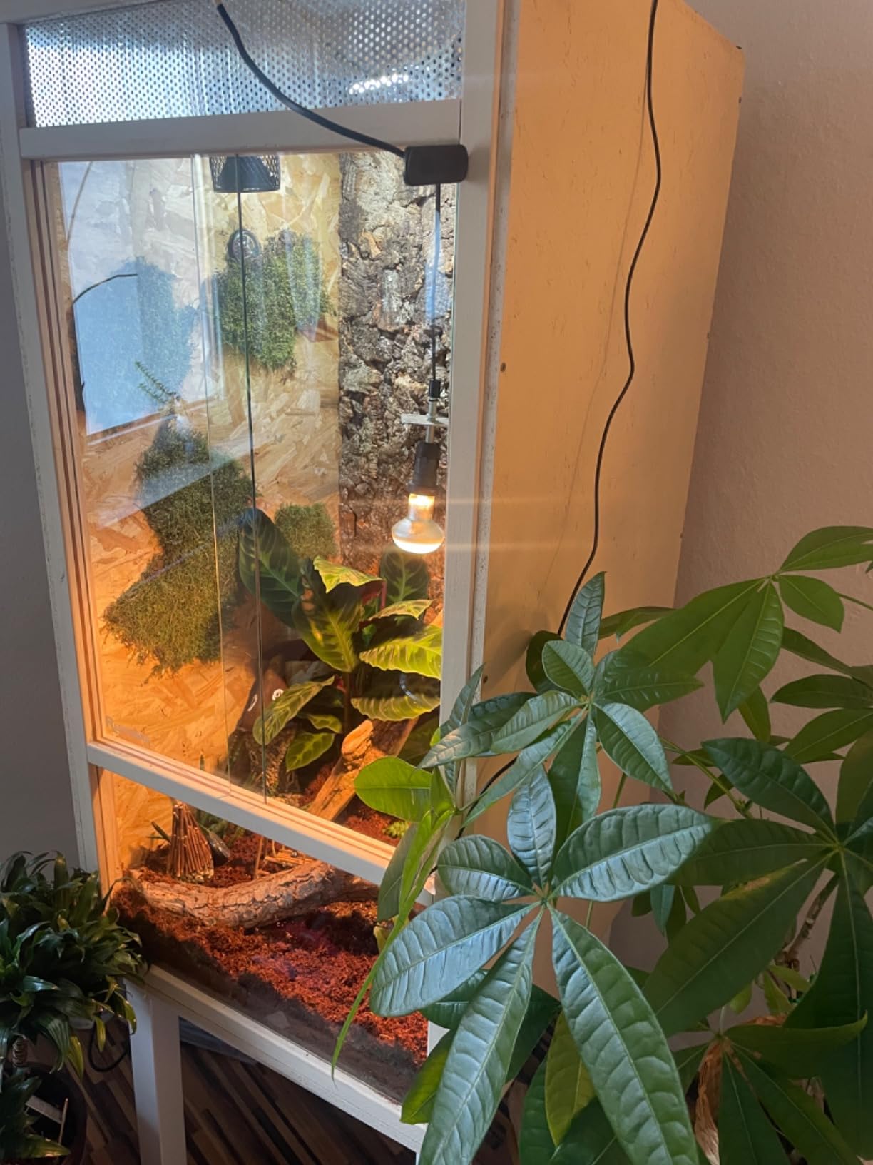 Repiterra Hoch-Terrarium 60x120x60 cm Frontbelüftung